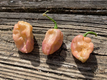 Load image into Gallery viewer, Mojo Peach (Pepper Seeds)(Limited)