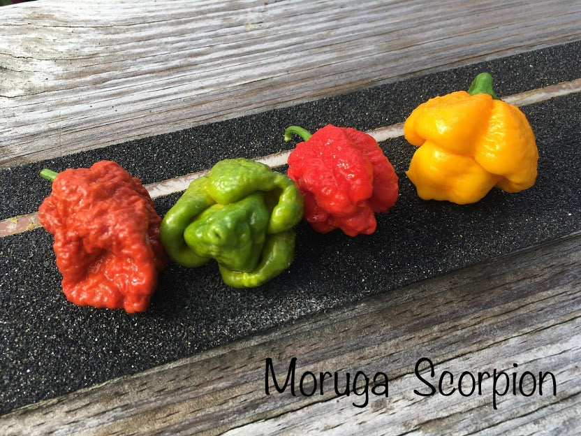 Scorpion Moruga Collection (Pepper Seeds)