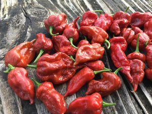 Naga Caramel (Pepper Seeds)