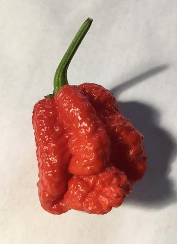 Naglah x Moruga (Pepper Seeds)