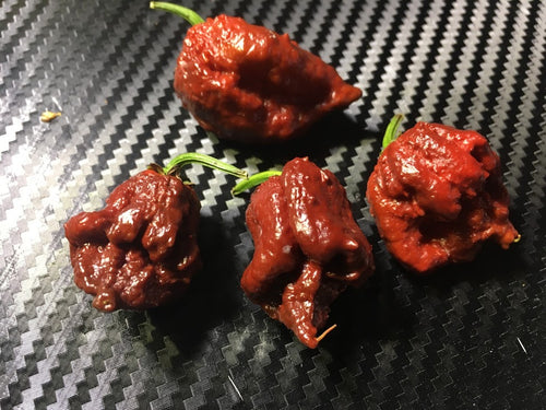 NagaReaper CRC (Pepper Seeds)