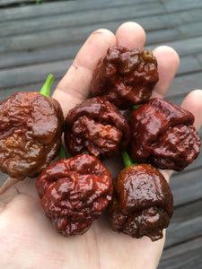 NagaReaper Juuulz (Pepper Seeds)
