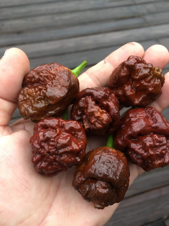 NagaReaper Juuulz (Pepper Seeds)