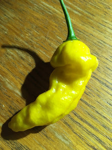 NagaTop Yellow (Pepper Seeds)