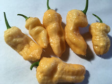 Load image into Gallery viewer, Orange &amp; Peach TurdCicle (Combo Pack)(Pepper Seeds)