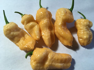 Orange & Peach TurdCicle (Combo Pack)(Pepper Seeds)