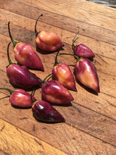 Load image into Gallery viewer, M.A.M.P. Berry (Pepper Seeds)