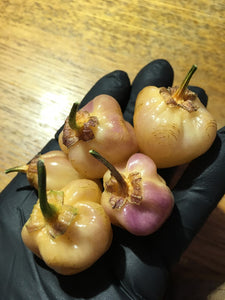 PurpleGum Peach (Pepper Seeds)