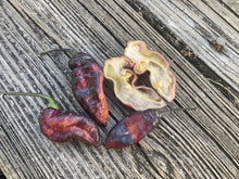 Load image into Gallery viewer, PJ Black Ice Cream (Pepper Seeds)
