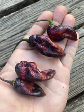 Load image into Gallery viewer, PJ Black Ice Cream (Pepper Seeds)(Limited)