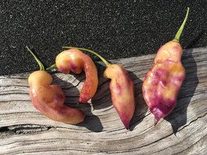 PJ Peach/Pink (Pepper Seeds)