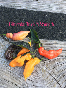 Pandora’s Box Pimenta Jolokia/PJ Mix (Pepper Seeds)