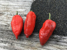 Load image into Gallery viewer, Pimenta Leopard (Pepper Seeds)