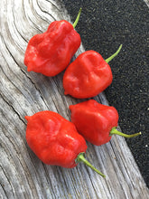Load image into Gallery viewer, Taj Mahal Red Minion (Pepper Seeds)
