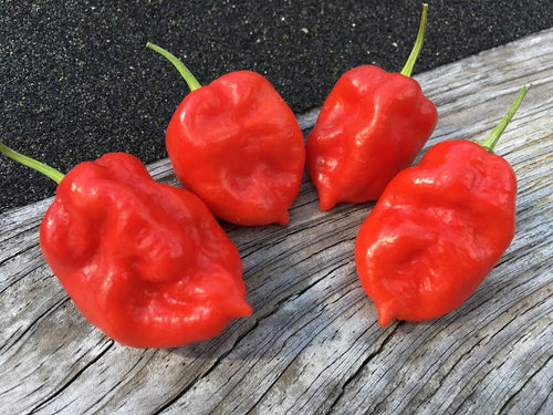 Taj Mahal Red Minion (Pepper Seeds)