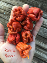 Load image into Gallery viewer, Ramirez Stinger (Pepper Seeds)