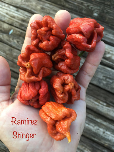 Ramirez Stinger (Pepper Seeds)