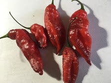 Red Shark (Pepper Seeds)