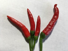 Load image into Gallery viewer, Sandabahar (Pepper Seeds)
