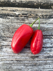 Sriracha Jalapeno (Pepper Seeds)