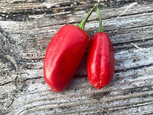 Sriracha Jalapeno (Pepper Seeds)