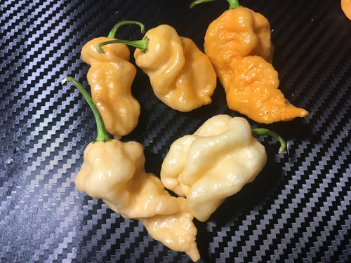 Star Scream (Pepper Seeds)