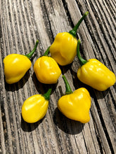 Load image into Gallery viewer, Trinidad Beans Yellow (Pepper Seeds)