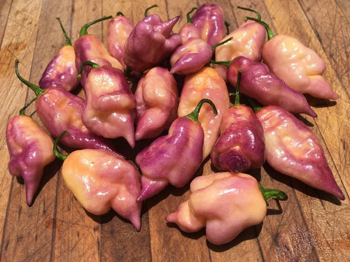 Taj Mahal Pink/Peach (Pepper Seeds)