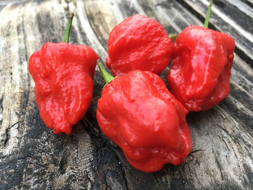 W.A.L. 7 (Pepper Seeds)