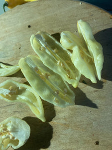 White GhostScorpion Jays/T-E (Pepper Seeds)(Limited)