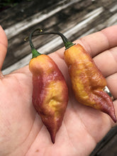 Load image into Gallery viewer, Yellow Tiger (Pepper Seeds)