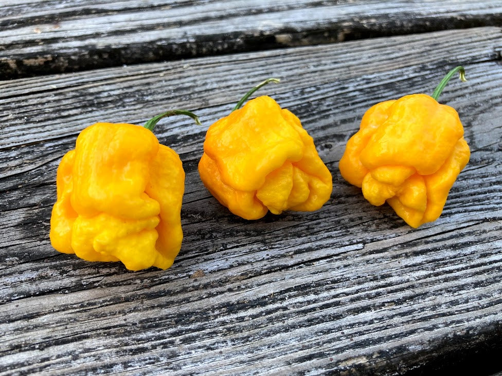 7 Pot Wes Yellow (Pepper Seeds)